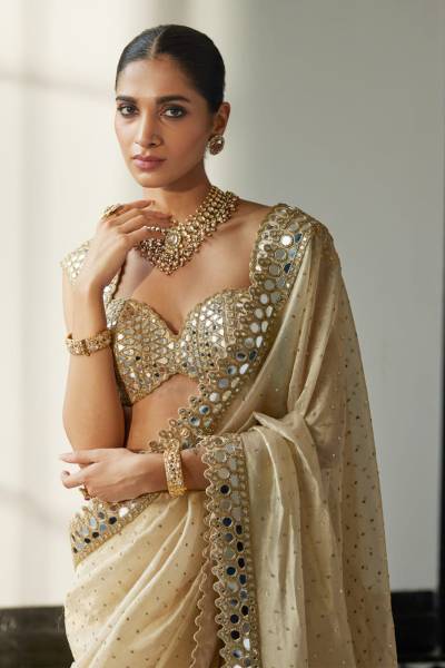 DF 3450 BY DF DESIGNER ORGANZA FABRIC SAREES WHOLESALER IN INDIA